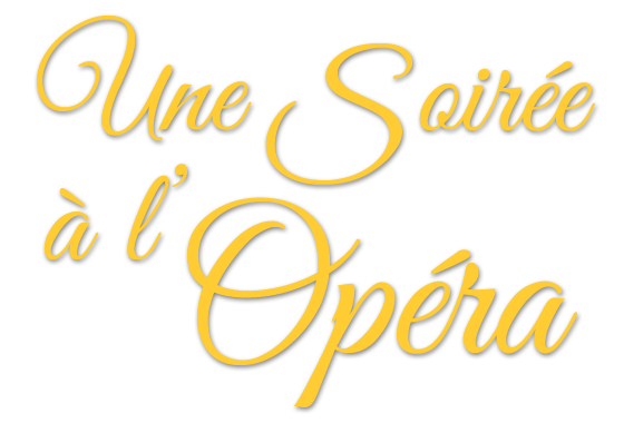 Une Soirée à l'Opéra